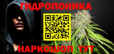 спиды Камышлов