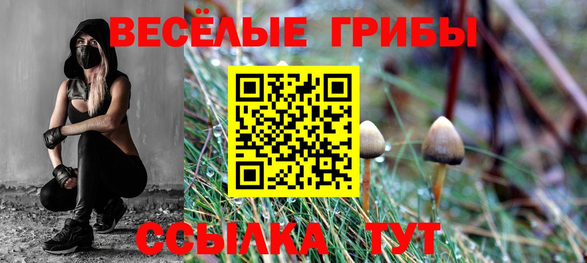 Галлюциногенные грибы Psilocybe  Вход с VPN  Псилоцибиновые грибы Psilocybe  Лабинск 