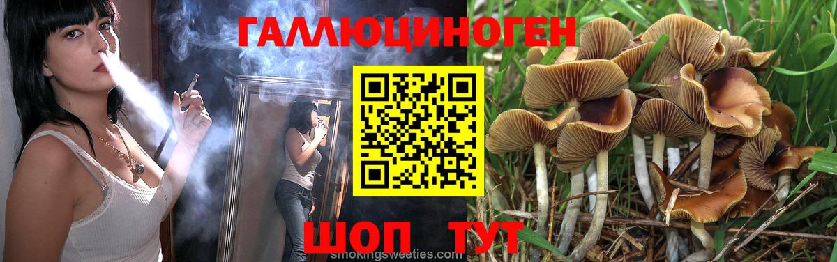Псилоцибиновые грибы MAGIC MUSHROOMS Лабинск